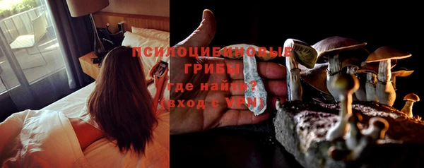 амф Заволжье