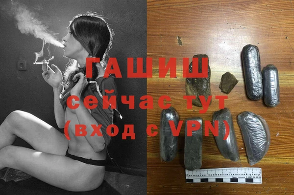 крисы Елабуга