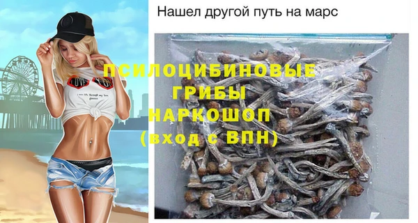 mix Ельня