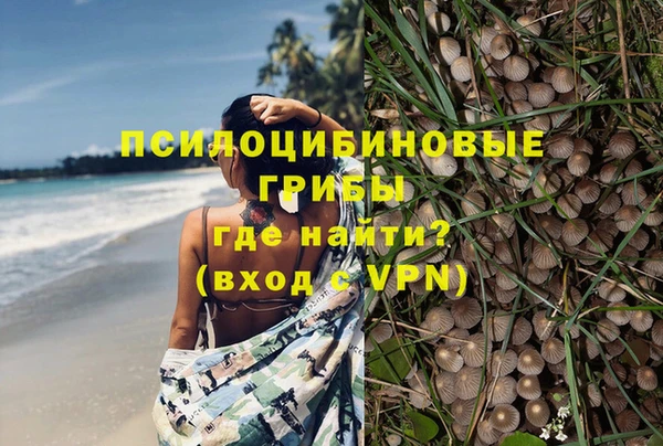 прущие крисы Заводоуковск