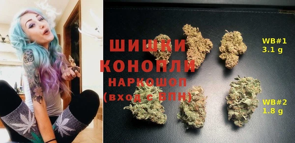 амф Заволжье