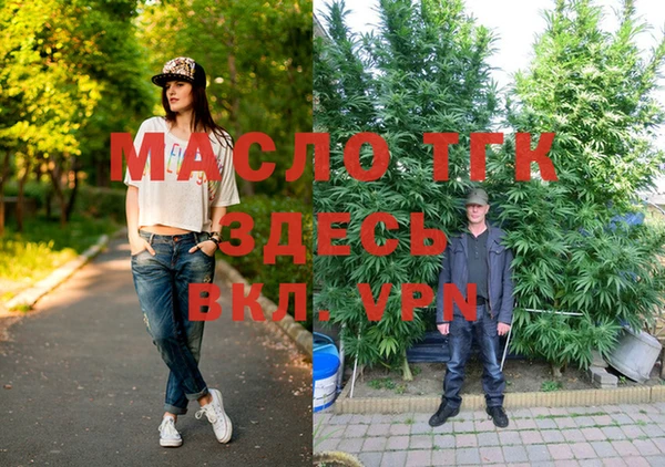 крисы Елабуга