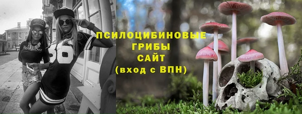 крисы Елабуга