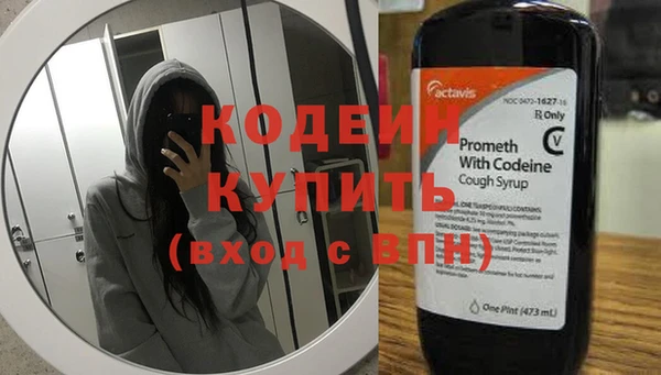 прущие крисы Заводоуковск